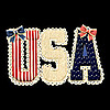 USA patriotic design vintage fabric American flag lettering